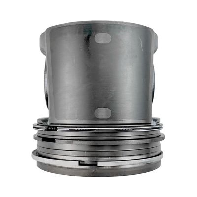 Купить Поршень в сборе RG +0.5mm 4115P016,T426389,10000-95331 А со склада в Москве. Оригинальные и OEM запчасти в наличии. Широкий выбор, гарантия качества. | РУСТЕХ.