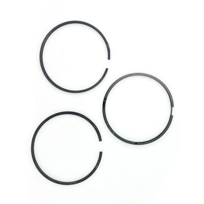 Купить Кольца поршневые 320/09299 OEM со склада в Москве. Оригинальные и OEM запчасти в наличии. Широкий выбор, гарантия качества. | РУСТЕХ.