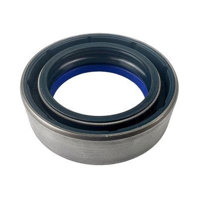 Купить Сальник полуоси редуктора 904/50047, 12012377B, 127684. 209-7465(45*65*18.5) OEM со склада в Москве. Оригинальные и OEM запчасти в наличии. Широкий выбор, гарантия качества. | РУСТЕХ.