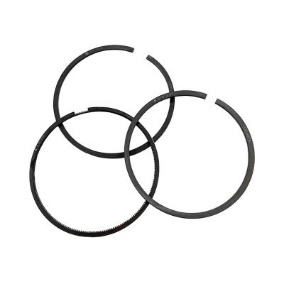 Купить Кольца поршневые комплект RG 02/202921, 998-703, UPRK0002 A со склада в Москве. Оригинальные и OEM запчасти в наличии. Широкий выбор, гарантия качества. | РУСТЕХ.