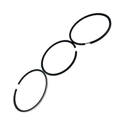 Купить Кольца поршневые 320/09299 А со склада в Москве. Оригинальные и OEM запчасти в наличии. Широкий выбор, гарантия качества. | РУСТЕХ.