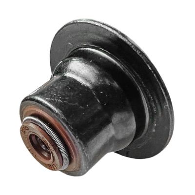 Купить Маслосьёмный колпачек Perkins 2418M522, 10000-05566 А со склада в Москве. Оригинальные и OEM запчасти в наличии. Широкий выбор, гарантия качества. | РУСТЕХ.