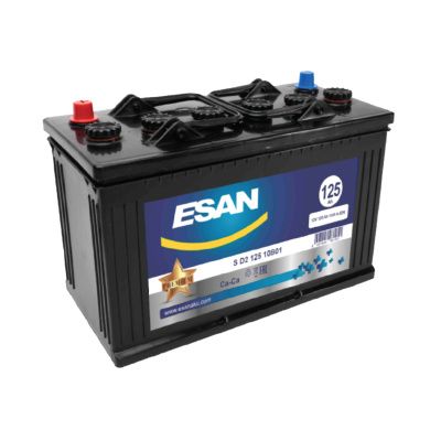 Купить Аккумулятор ESAN MF S D2 10B01 125Ah/12V 1000A со склада в Москве. Оригинальные и OEM запчасти в наличии. Широкий выбор, гарантия качества. | РУСТЕХ.