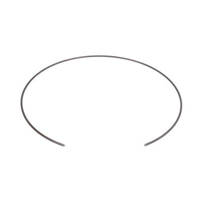 Купить Стопорное кольцо CARRARO 125555, 3523070M1, 83982414, CA0125555 со склада в Москве. Оригинальные и OEM запчасти в наличии. Широкий выбор, гарантия качества. | РУСТЕХ.