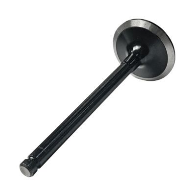 Купить Клапан впускной 02/202941, 998-701, D3142H071 A со склада в Москве. Оригинальные и OEM запчасти в наличии. Широкий выбор, гарантия качества. | РУСТЕХ.