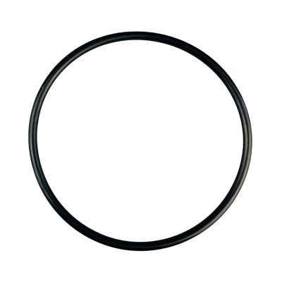 Купить Уплотнительное кольцо BLA2717 со склада в Москве. Оригинальные и OEM запчасти в наличии. Широкий выбор, гарантия качества. | РУСТЕХ.