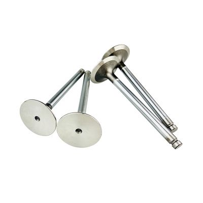 Купить Клапан впускной АК 02/201506, 3142L081, 10000-90635 JCB со склада в Москве. Оригинальные и OEM запчасти в наличии. Широкий выбор, гарантия качества. | РУСТЕХ.