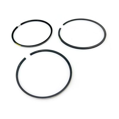 Купить Кольца поршневые 320/09299 OEM со склада в Москве. Оригинальные и OEM запчасти в наличии. Широкий выбор, гарантия качества. | РУСТЕХ.