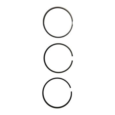 Купить Кольца поршневые (+0,50мм) 320/09214,320/09295 А со склада в Москве. Оригинальные и OEM запчасти в наличии. Широкий выбор, гарантия качества. | РУСТЕХ.