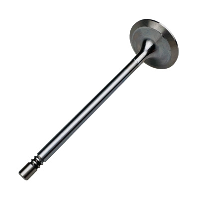 Купить Клапан впускной Perkins 3142H091, 10000-07561 А со склада в Москве. Оригинальные и OEM запчасти в наличии. Широкий выбор, гарантия качества. | РУСТЕХ.