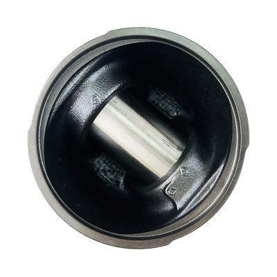 Купить Поршень в сборе RG стандарт 02/202920, 4115P015, Т435652, T426384, 508-1898 А со склада в Москве. Оригинальные и OEM запчасти в наличии. Широкий выбор, гарантия качества. | РУСТЕХ.