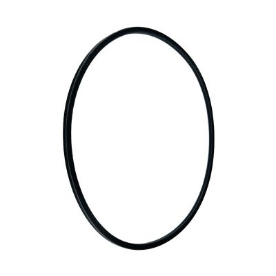 Купить Сальник тормозного поршня 813/50026 М JCB со склада в Москве. Оригинальные и OEM запчасти в наличии. Широкий выбор, гарантия качества. | РУСТЕХ.