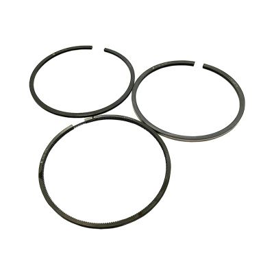 Купить Кольца поршневые комплект RG 02/202921, 998-703, UPRK0002 A со склада в Москве. Оригинальные и OEM запчасти в наличии. Широкий выбор, гарантия качества. | РУСТЕХ.