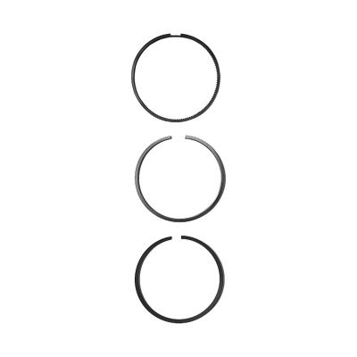 Купить Кольца поршневые комплект RG 02/202921, 998-703, UPRK0002 KOLBENSCHMİDT A со склада в Москве. Оригинальные и OEM запчасти в наличии. Широкий выбор, гарантия качества. | РУСТЕХ.